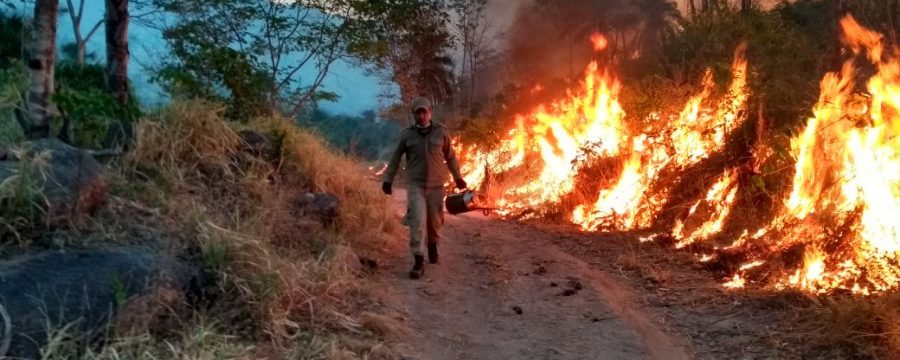 10° GBM – Redenção utiliza estratégias para combater incêndio florestal