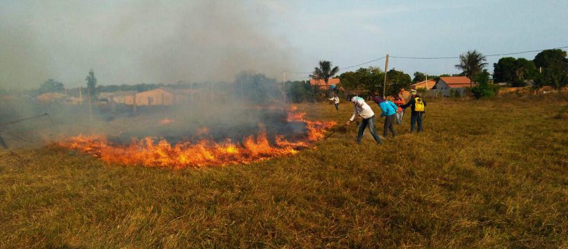 Corpo de Bombeiros treina voluntários para combater incêndios florestais