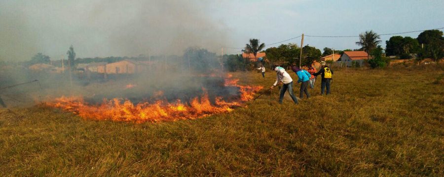 Corpo de Bombeiros treina voluntários para combater incêndios florestais