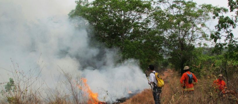 Militares do 4º GBM participam de combate a incêndio florestal em Monte Alegre.