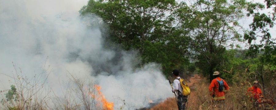 Militares do 4º GBM participam de combate a incêndio florestal em Monte Alegre.