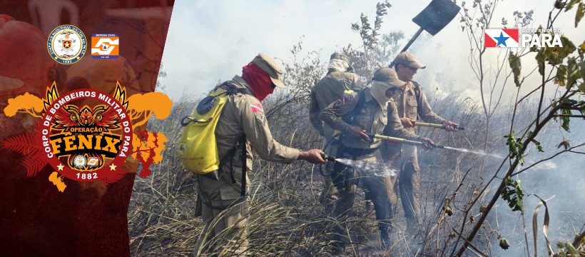 Corpo de Bombeiros continua combatendo queimadas em Altamira