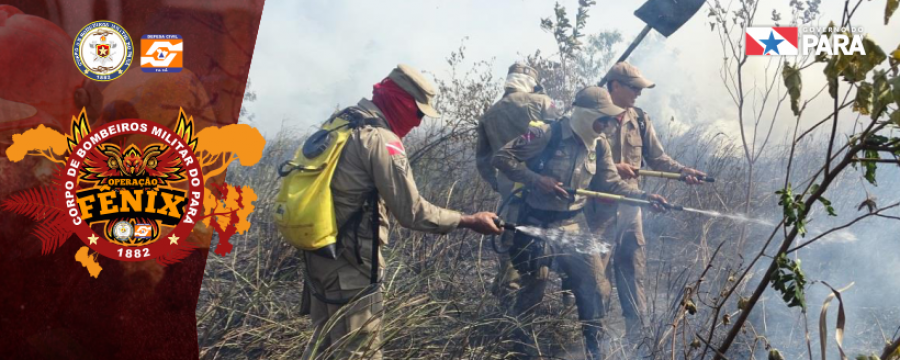 Corpo de Bombeiros continua combatendo queimadas em Altamira