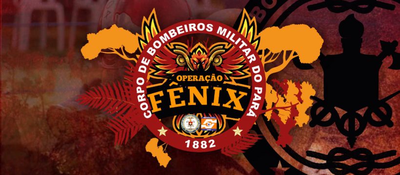 Operação Fênix integra órgãos estaduais e federais para o combate a incêndios florestais