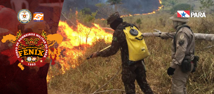 “OPERAÇÃO FÊNIX” COMBATE FOCOS DE INCÊNDIOS EM ÁREA RURAL DE NOVO PROGRESSO