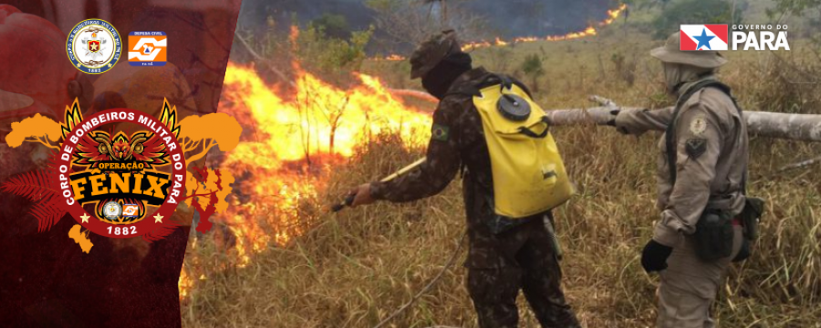 “OPERAÇÃO FÊNIX” COMBATE FOCOS DE INCÊNDIOS EM ÁREA RURAL DE NOVO PROGRESSO