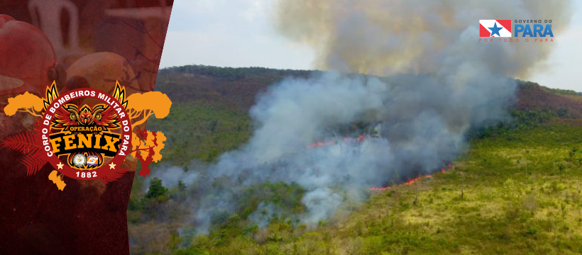 TRABALHOS DA “OPERAÇÃO FÊNIX” CONTINUAM OBTENDO SUCESSO PELO INTERIOR DO PARÁ