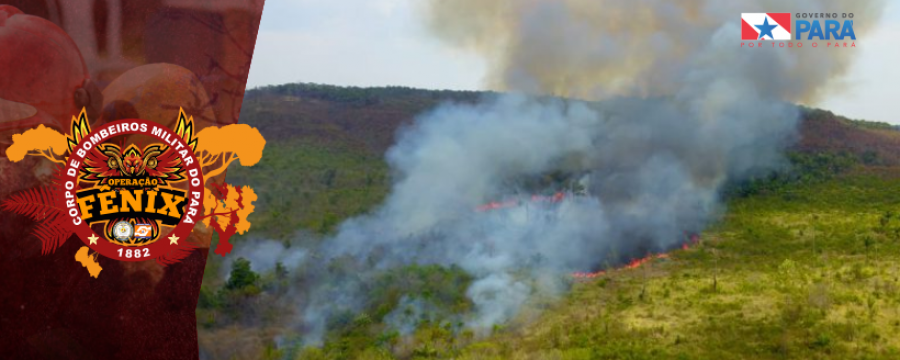 TRABALHOS DA “OPERAÇÃO FÊNIX” CONTINUAM OBTENDO SUCESSO PELO INTERIOR DO PARÁ