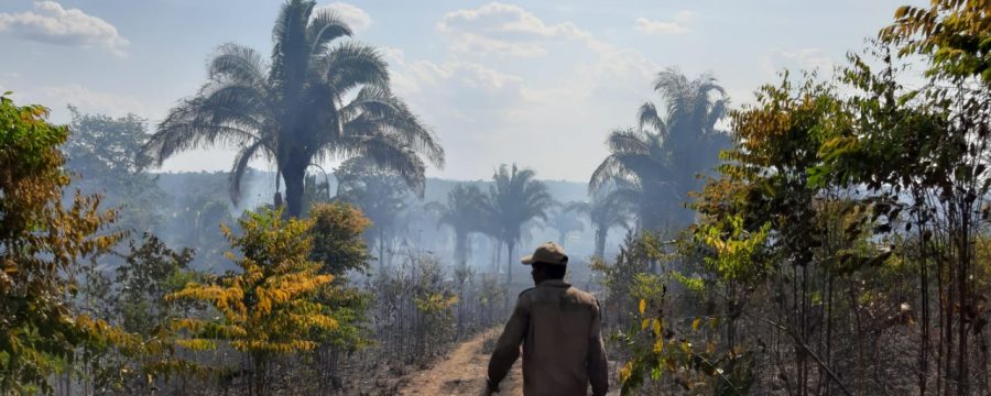 Corpo de Bombeiros segue combatendo queimadas em Marabá