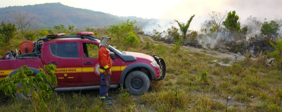 A “Operação Fênix” continua em São Félix do Xingu