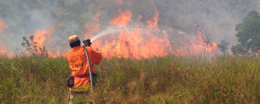 Combate das Queimadas em Alter Do Chão-Santarém