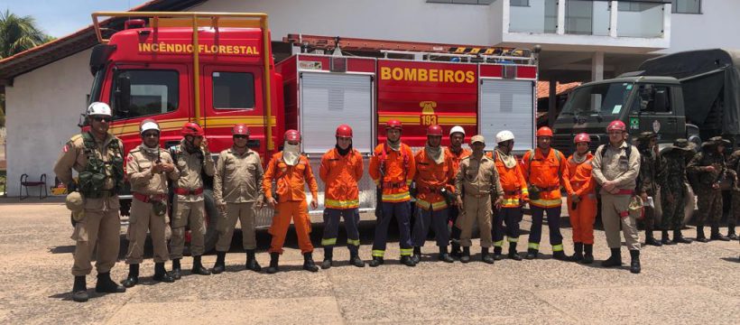 Operação Bruxa do Fogo: incêndio florestal na região de Alter do Chão