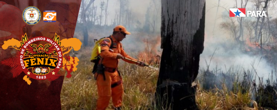 Operação Fênix: Corpo de Bombeiros continua atuando em São Félix do Xingu