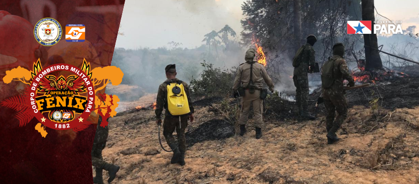 CORPO DE BOMBEIROS SEGUE COMBATENDO QUEIMADAS E INCÊNDIOS NA OPERAÇÃO FÊNIX