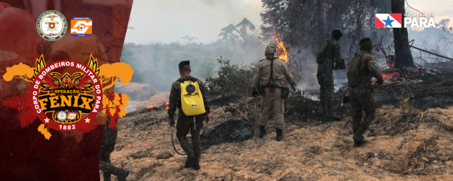 CORPO DE BOMBEIROS SEGUE COMBATENDO QUEIMADAS E INCÊNDIOS NA OPERAÇÃO FÊNIX