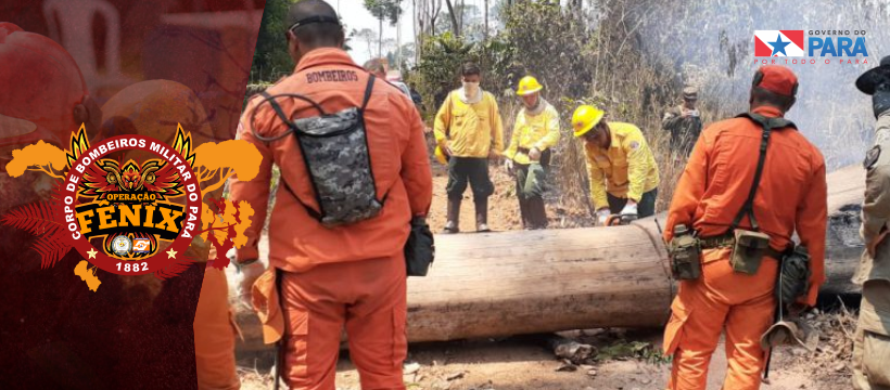 ATUALIZAÇÃO OPERAÇÃO FÊNIX EM NOVO PROGRESSO