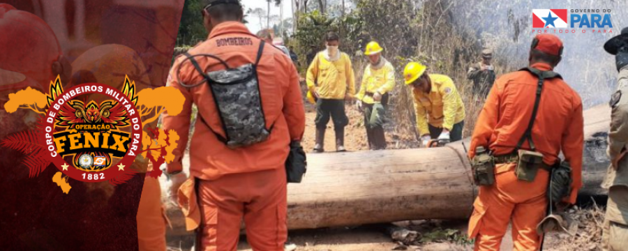 ATUALIZAÇÃO OPERAÇÃO FÊNIX EM NOVO PROGRESSO