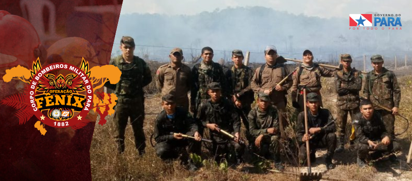 Operação Fênix segue combatendo queimadas em Novo Progresso e Marabá