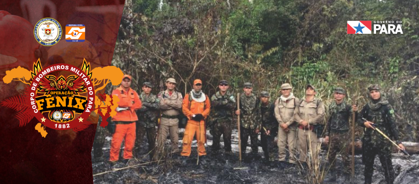 Operação Fênix: reconhecimento de focos de incêndio em Novo Progresso