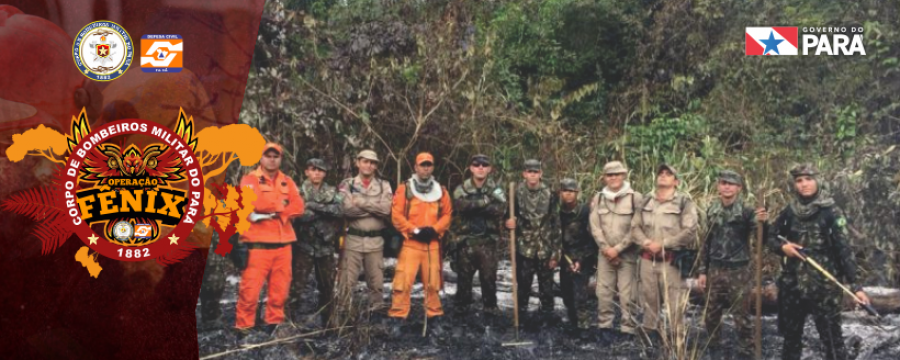 Operação Fênix: reconhecimento de focos de incêndio em Novo Progresso