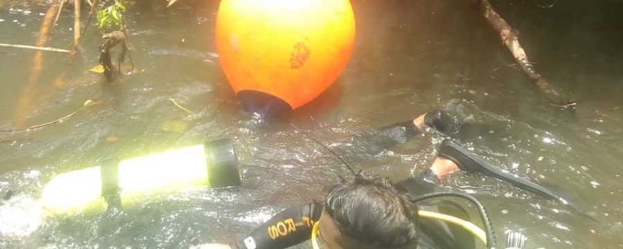 corpo de bombeiros realiza resgate no município de peixe boi