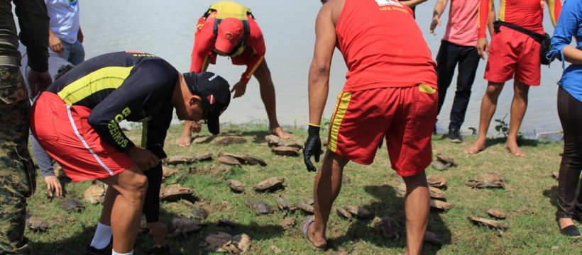 Corpo de Bombeiros participa de ação ambiental que reintroduziu 102 animais silvestres à natureza