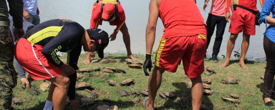 Corpo de Bombeiros participa de ação ambiental que reintroduziu 102 animais silvestres à natureza