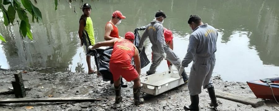 CBMPA REALIZA RESGATE DE CORPO NO GUAMÁ