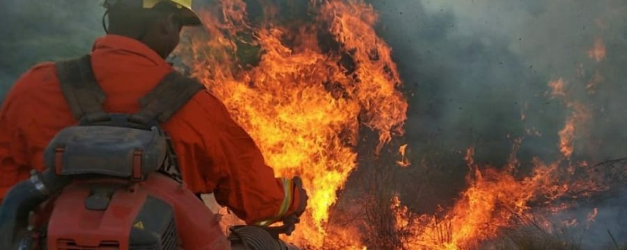 CBMPA ATUA NA “OPERAÇÃO AMAZÔNIA VIVA”