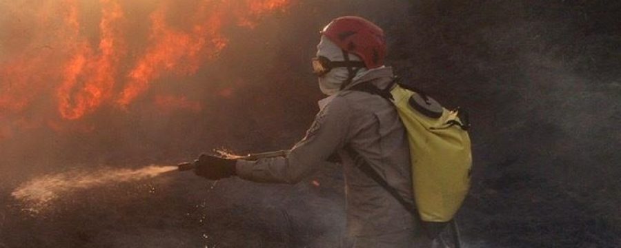 OPERAÇÃO FÊNIX 2020: BOMBEIROS SEGUEM COMBATENDO INCÊNDIOS FLORESTAIS E QUEIMADAS NO INTERIOR DO ESTADO