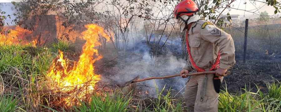 OPERAÇÃO FÊNIX: CBMPA COMBATE INCÊNDIO NA REGIÃO DE PARAUAPEBAS