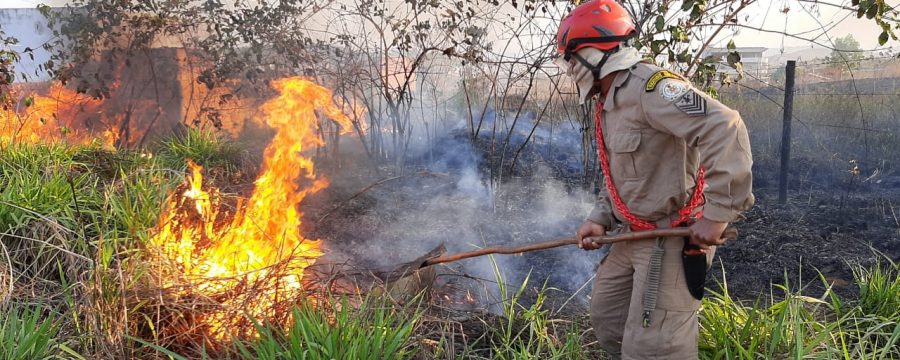 OPERAÇÃO FÊNIX:  CBMPA COMBATE INCÊNDIO NA REGIÃO DE PARAUAPEBAS