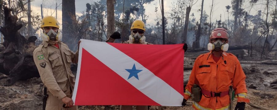 OPERAÇÃO FÊNIX 2021: PARÁ LIDERA RANKING DE PREVENÇÃO E REDUZ EM MAIS DE 3000 OS FOCOS DE CALOR