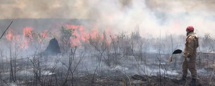 OPERAÇÃO FÊNIX: PARÁ REDUZ EM 65% OS FOCOS DE CALOR EM SETEMBRO