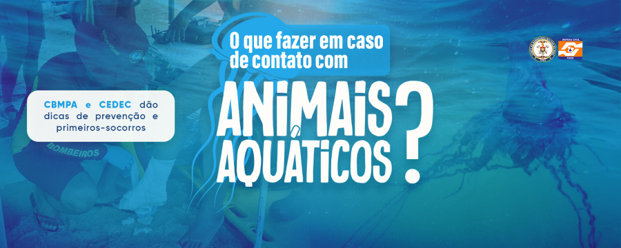ANIMAIS AQUÁTICOS: CBMPA E CEDEC DÃO DICAS DE PREVENÇÃO E PRIMEIROS SOCORROS