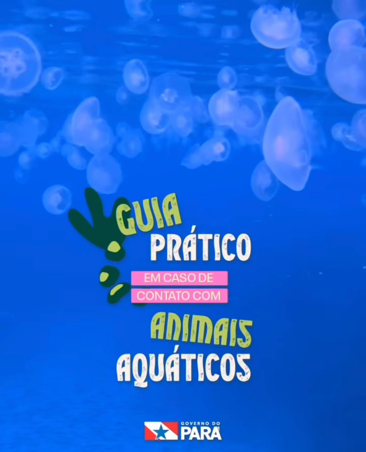 GuiaPratico_AnimaisMarinhos_1