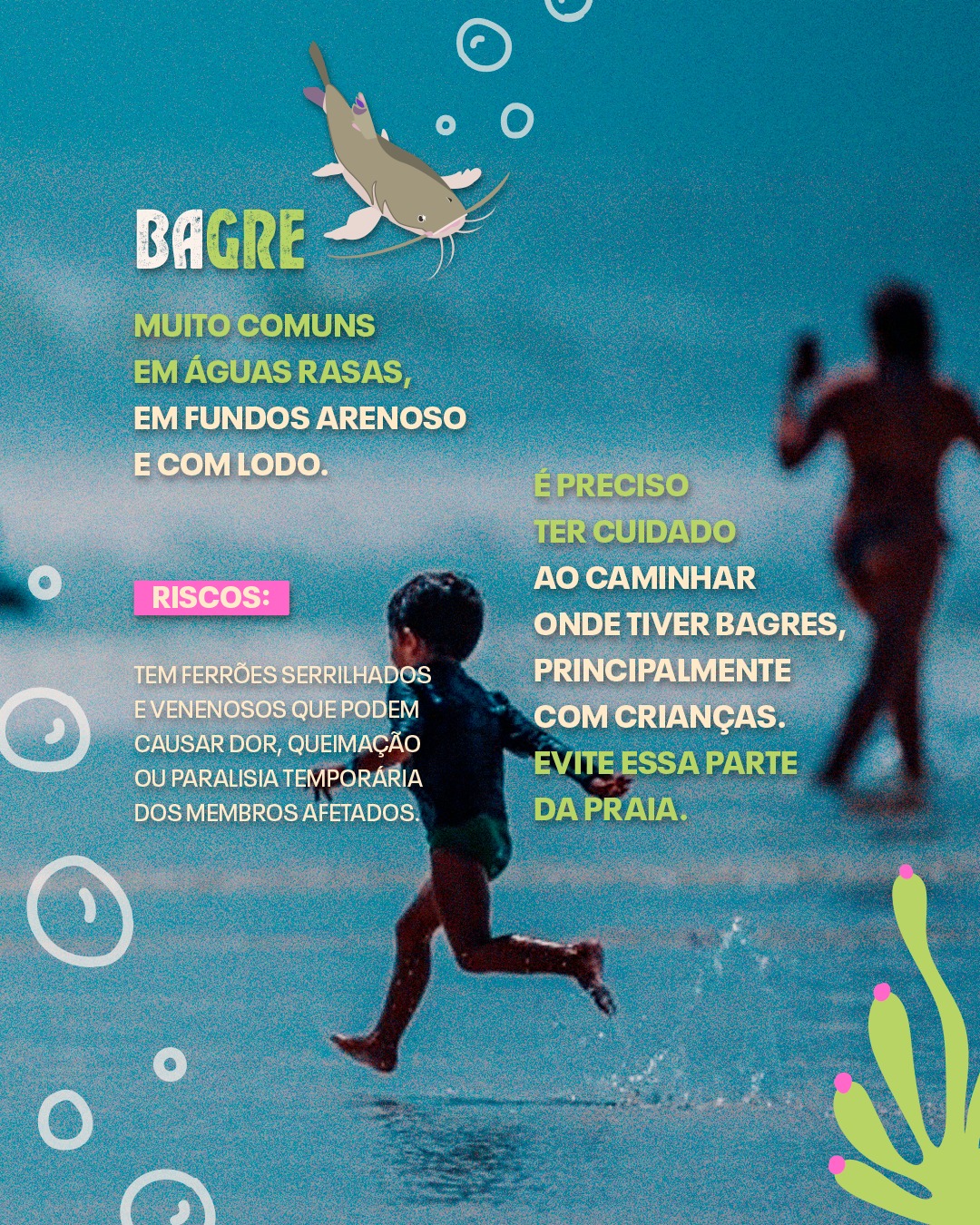 GuiaPratico_AnimaisMarinhos_4