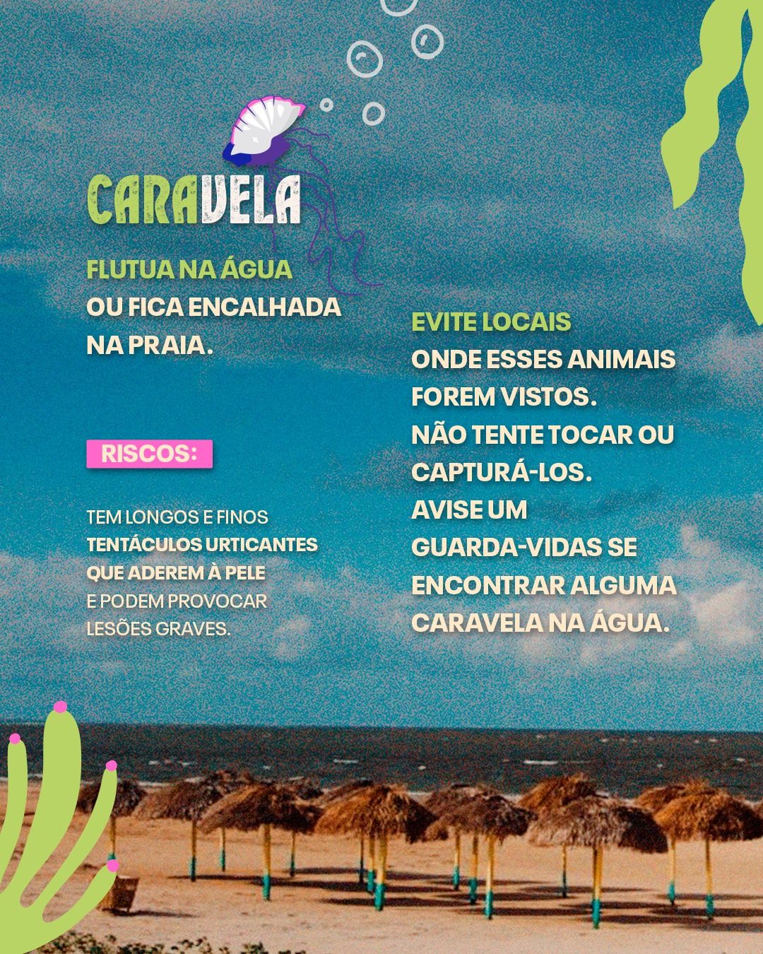 GuiaPratico_AnimaisMarinhos_5