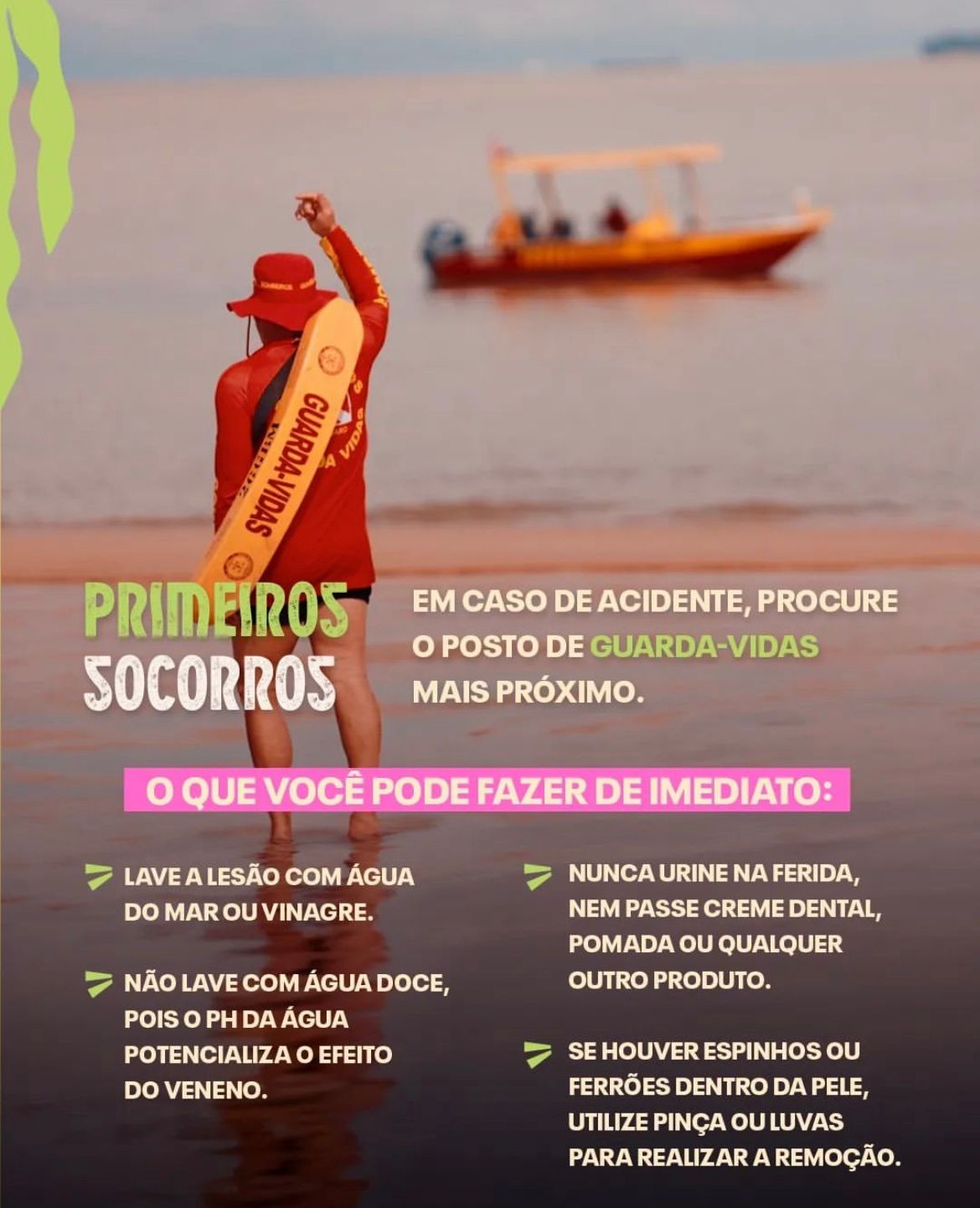 GuiaPratico_AnimaisMarinhos_6