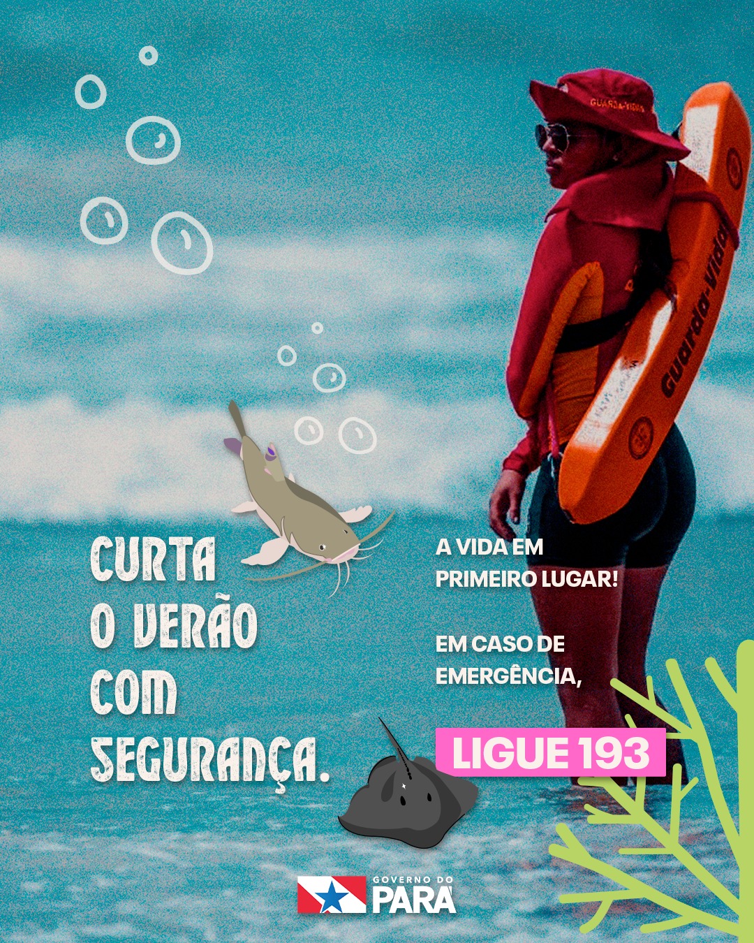 GuiaPratico_AnimaisMarinhos_7